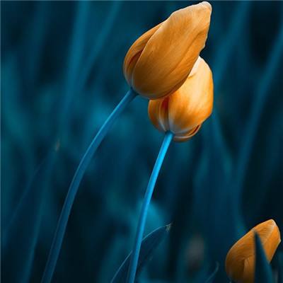 葫芦岛房产网截图